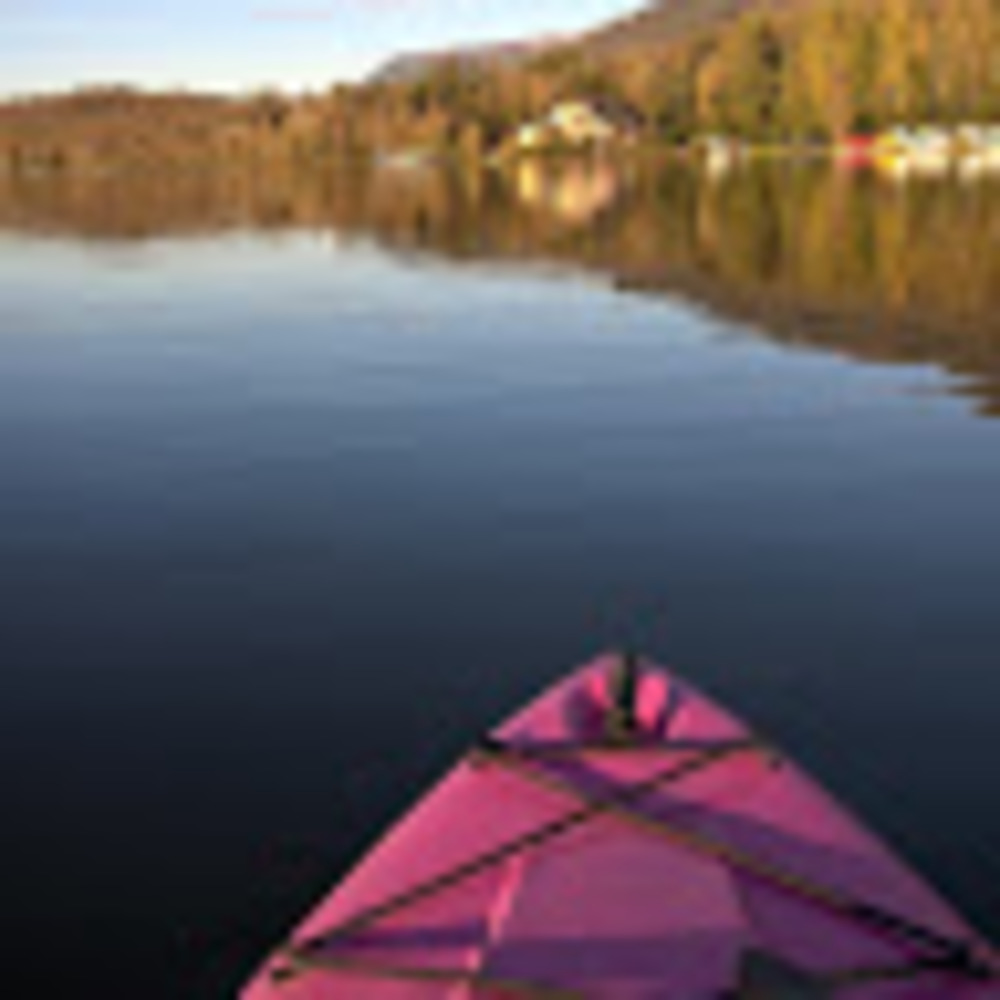 Meet your Posher, Pamela